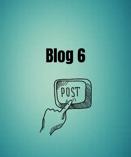 Blog 6